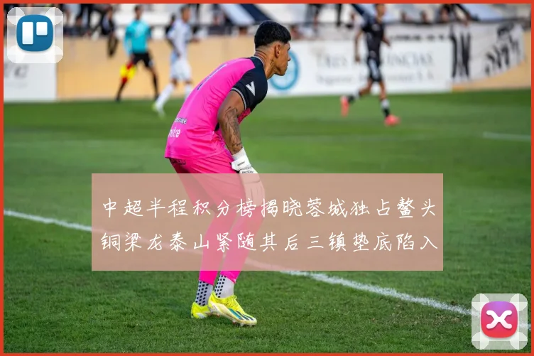 中超半程积分榜揭晓蓉城独占鳌头铜梁龙泰山紧随其后三镇垫底陷入困境