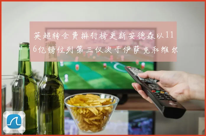 英超转会费排行榜更新安德森以116亿镑位列第三仅次于伊萨克和维尔茨